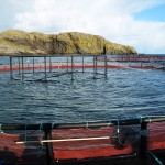 Scottish Aquaculture Centre Summary
